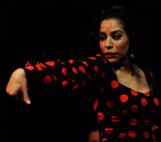 flamenco bcn