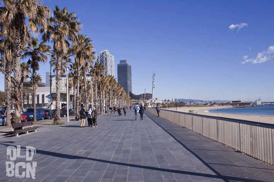 Playa de La Barceloneta