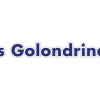golondrinas_logo.jpg
